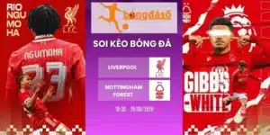 Tỷ lệ kèo Liverpool vs Nottingham Forest - NHA, 29/08/2026