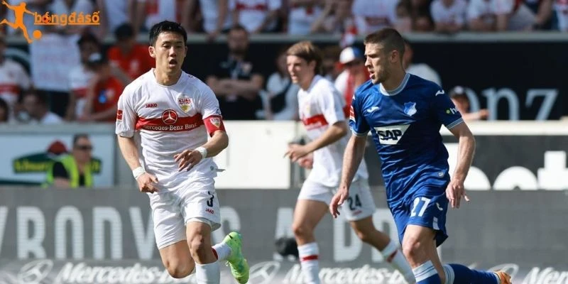 Đánh giá trước trận Hoffenheim vs Stuttgart