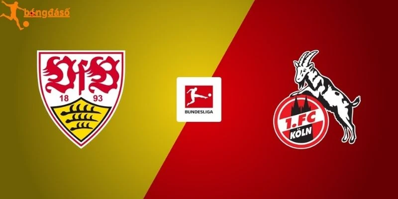 Đánh giá tương quan Stuttgart vs Köln