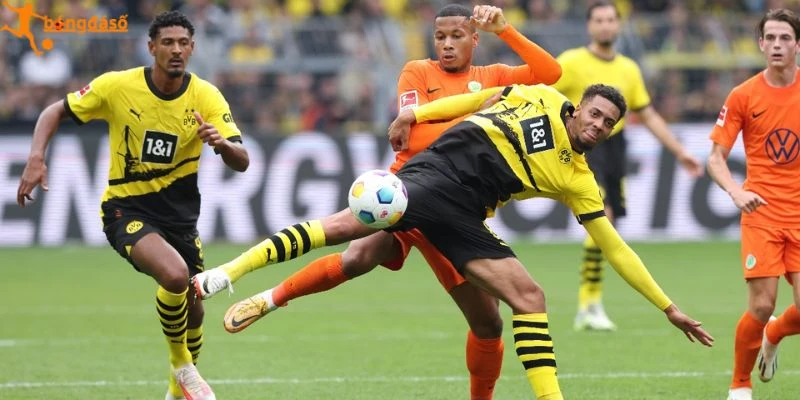 Dự đoán kèo Hoffenheim vs Dortmund