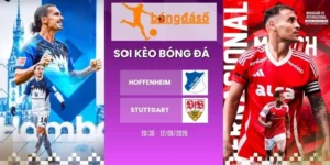 Kèo nhà cái Hoffenheim vs Stuttgart - Bundesliga, 12/09/2026