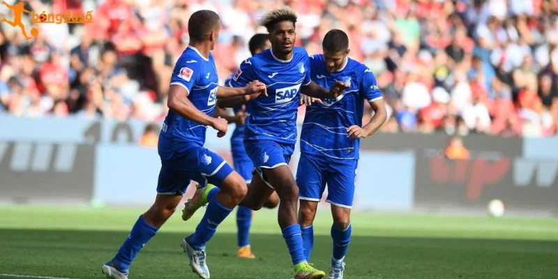 Nhận định kèo thơm trận Paderborn vs Hoffenheim