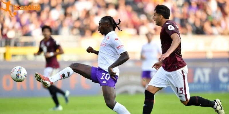 Nhận định phong độ giữa Fiorentina vs Torino