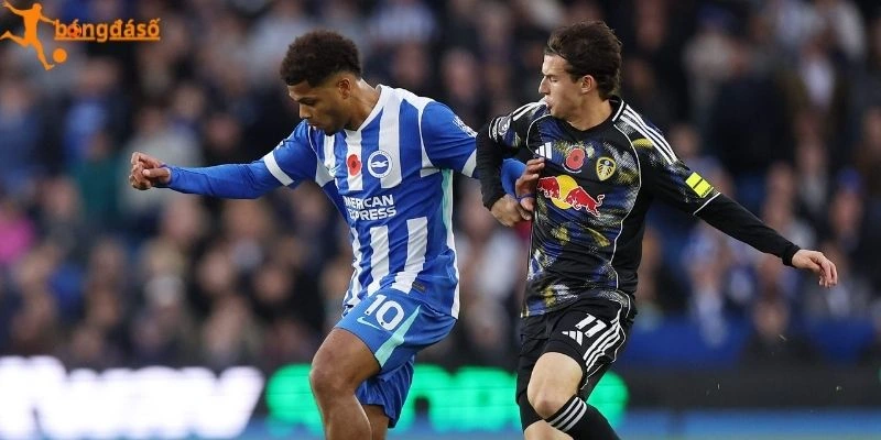 Phong độ Brighton, Leeds United mới nhất