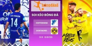Soi kèo nhà cái Hoffenheim vs Dortmund - Bundesliga, 05/09/2026