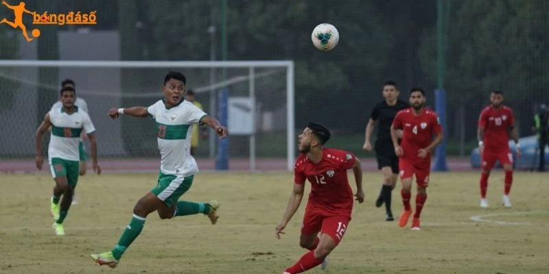 Thông tin tổng quan về 2 ĐT