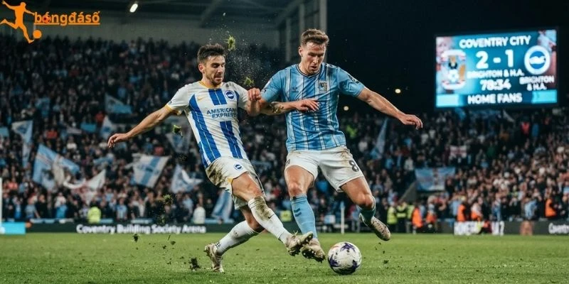Tình hình Coventry City vs Brighton