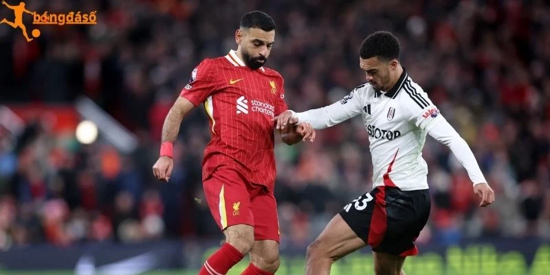 Tương quan Liverpool vs Fulham mới nhất