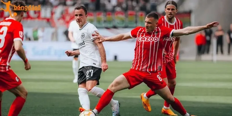 Tương quan lực lượng Frankfurt vs Freiburg
