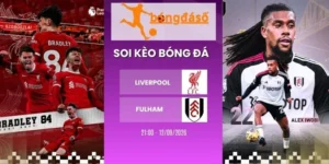 tỷ lệ kèo Liverpool vs Fulham - NHA, 12/09/2026