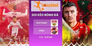 Tỷ lệ kèo Stuttgart vs Köln - Bundesliga, 05/09/2026